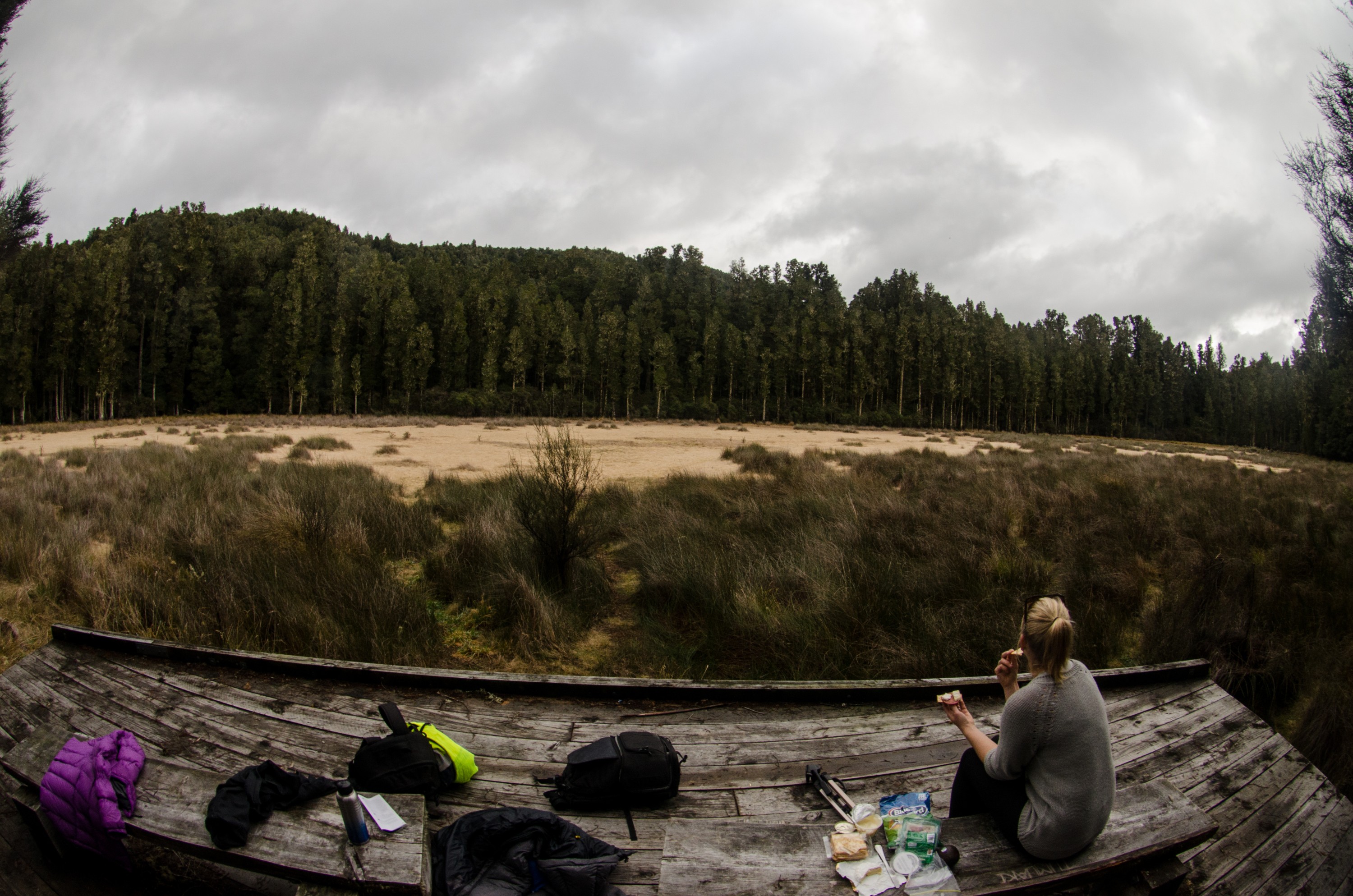 DSC_3325 – tawa, podocarp, forest,
ephemeral, lagoon, kahikatea, Arohaki Lagoon, Whirinaki, Te Pua-a-Tāne, Conservation, Park,